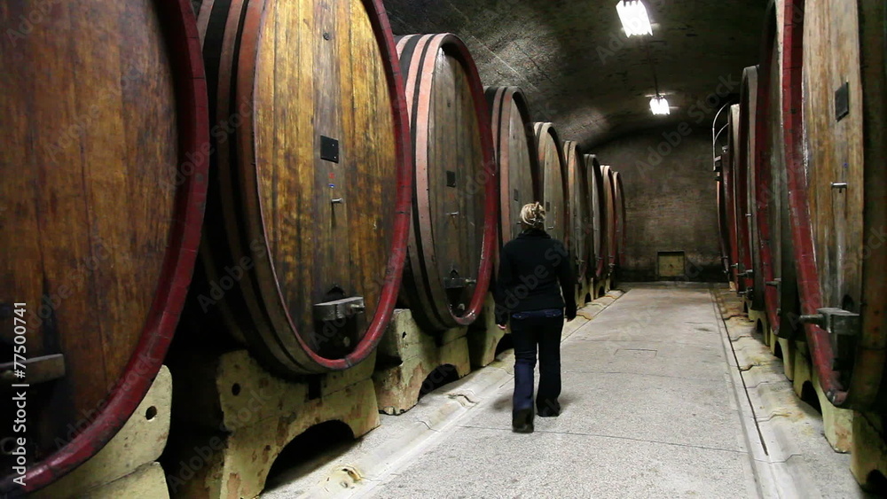 Shot of a women checking the barrels in the wine cellar