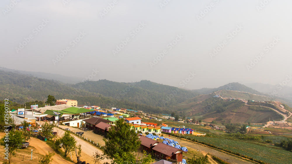 Fototapeta premium Serene mountain views from above Phu resorts and cabbage plants.