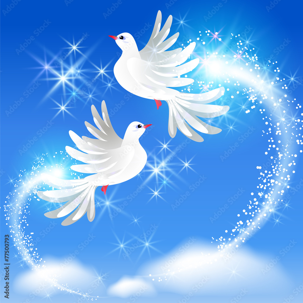 Fototapeta premium Flying two doves and sparkling salute