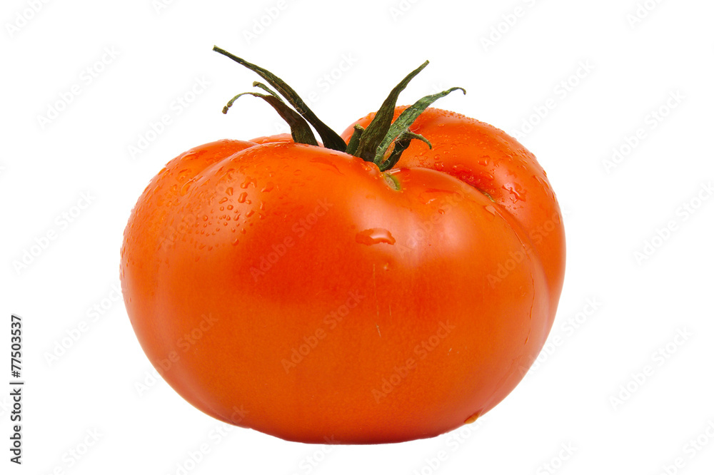 Front view of tomato isolated on white background. Front view of tomato isolated on white background.