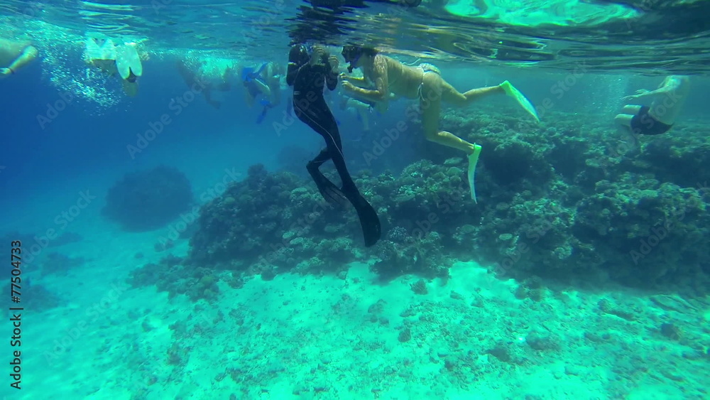 Sea and water life, people having fun, sea creatures with corals. Perfect tourism themed place. Sea and water life, people having fun, sea creatures with corals. Perfect tourism themed place.