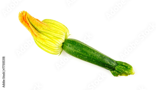 Macro closeup of zucchini flower