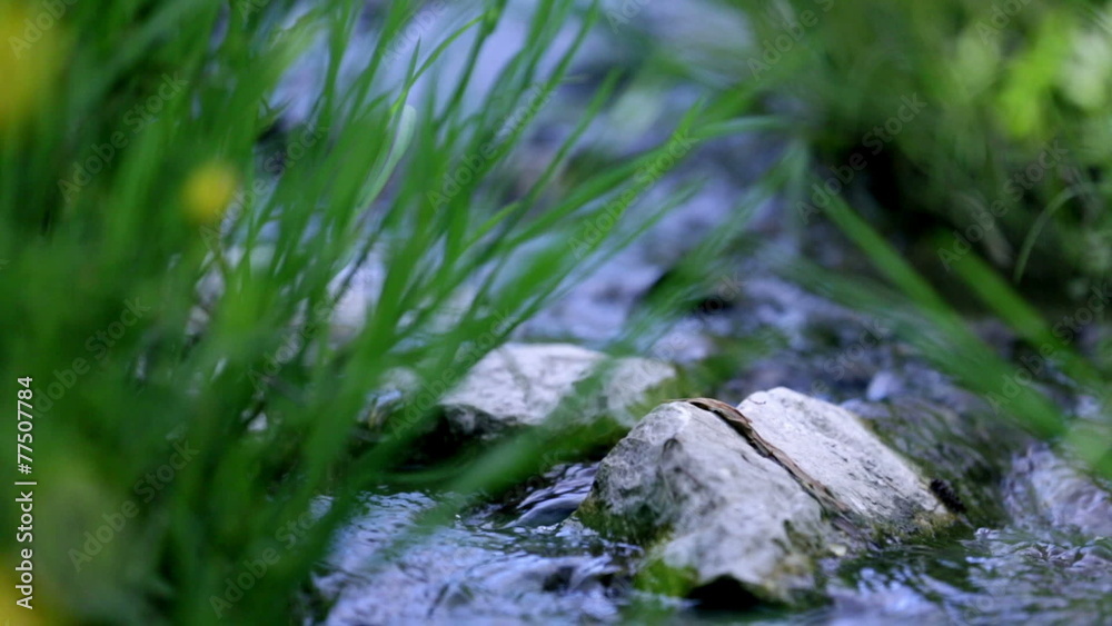 Low angle close up shot water stream in spring Low angle close up shot water stream in spring