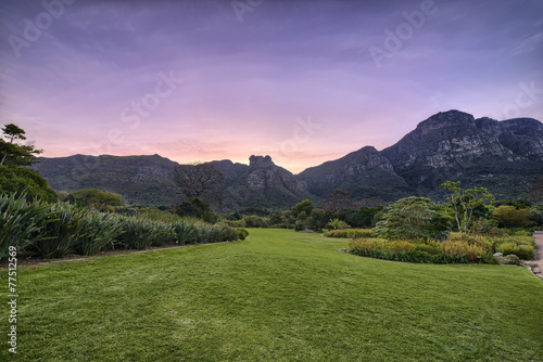 Kirstenbosch National Botanical Garden in Cape Town South Africa