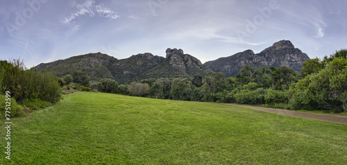 Kirstenbosch National Botanical Garden in Cape Town South Africa