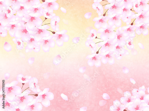 桜　花　背景 © J BOY