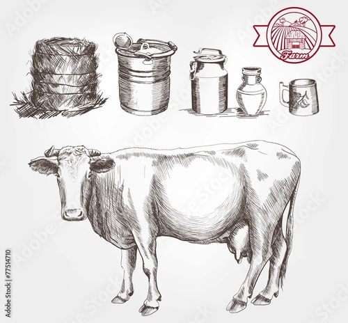 cow and milk products
