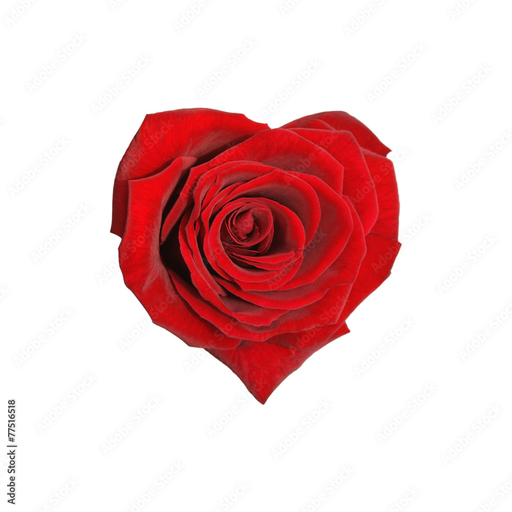 Rose in Form eines Herzens Rose in Form eines Herzens