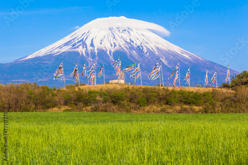 Colorful carp banners and Mount Fuji