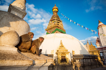 Handdoek met foto Nepal Swayambhunath stupa boven Kathmandu  © Delicious