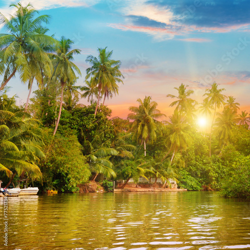 Fototapeta Naklejka Na Ścianę i Meble -  river, beautiful sunrise and tropical palms