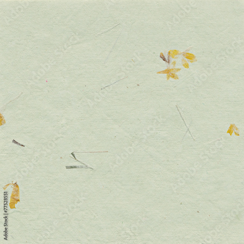 Green paper background with dried plants