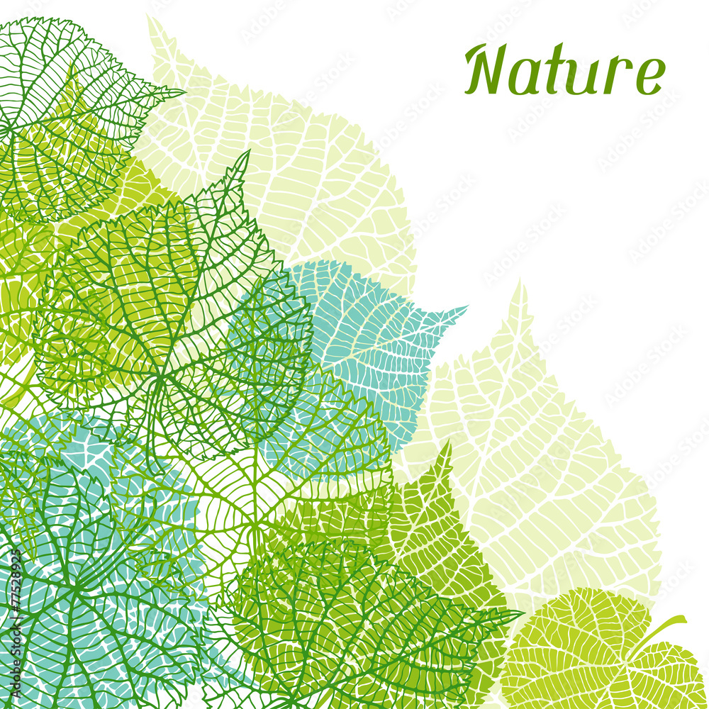 Fototapeta Background of stylized green leaves.