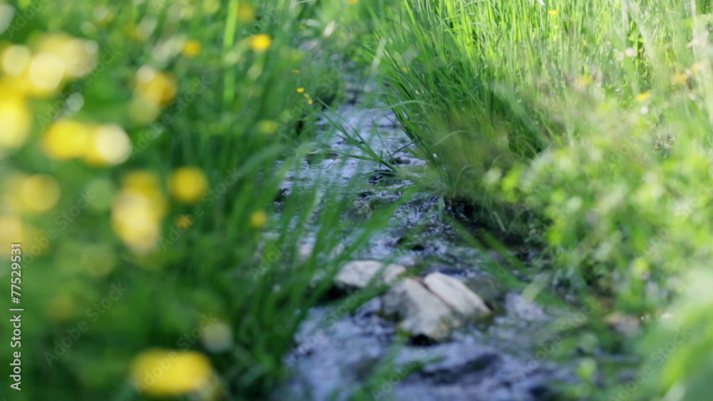 Low angle shot of water stream in spring Low angle shot of water stream in spring
