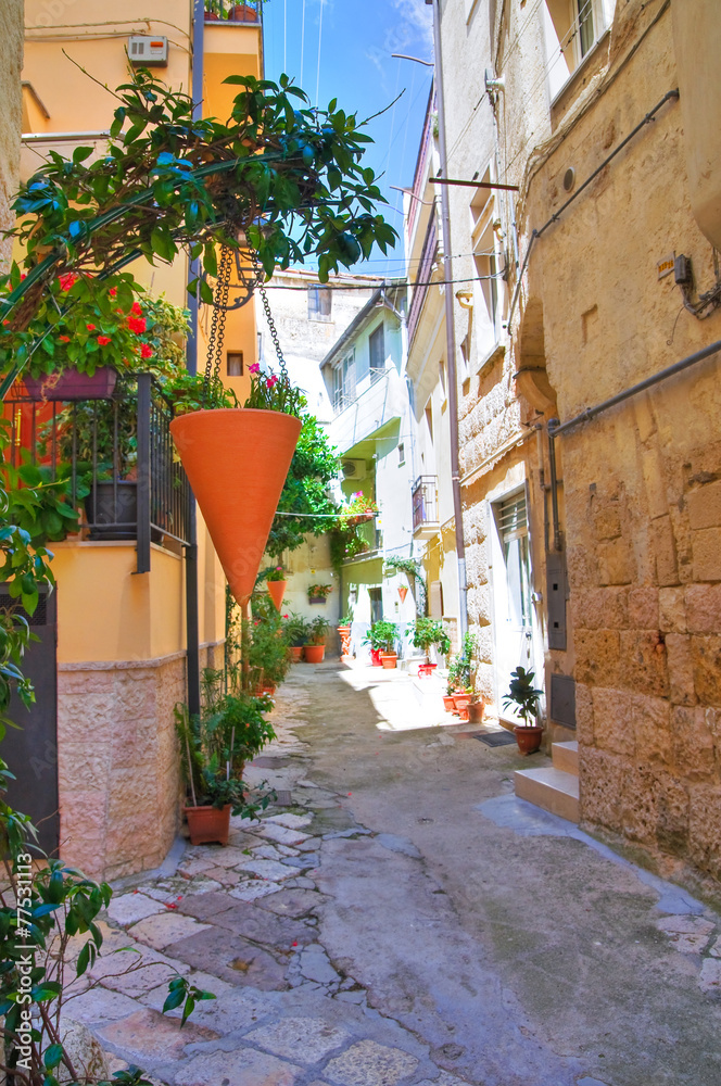 Obraz premium Alleyway. Altamura. Puglia. Italy.