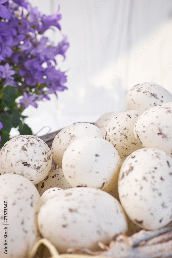 Easter eggs in a basket Easter eggs in a basket