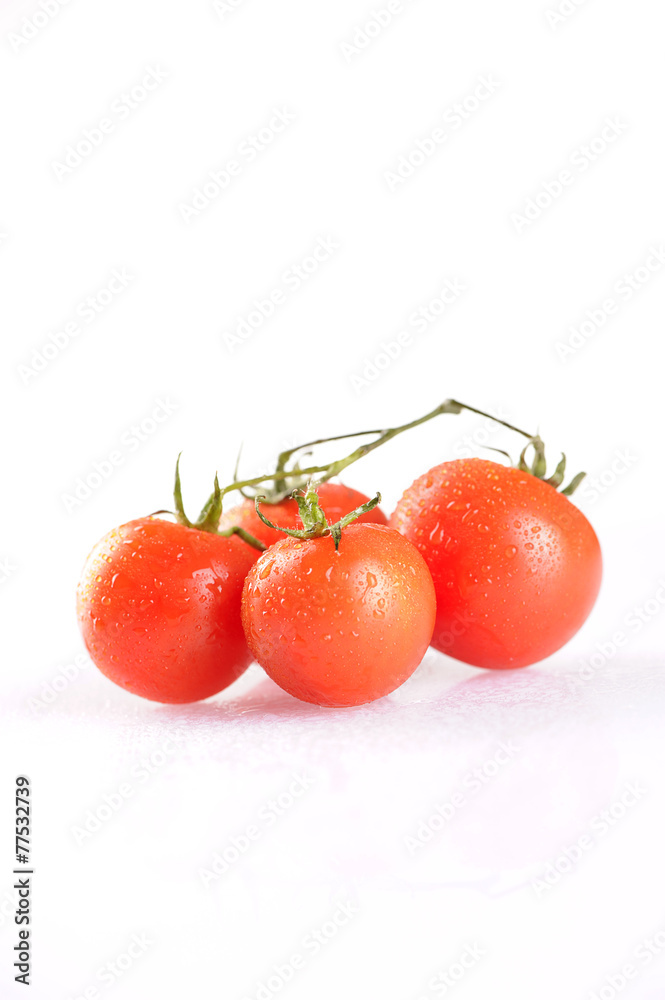 Tomato Tomato