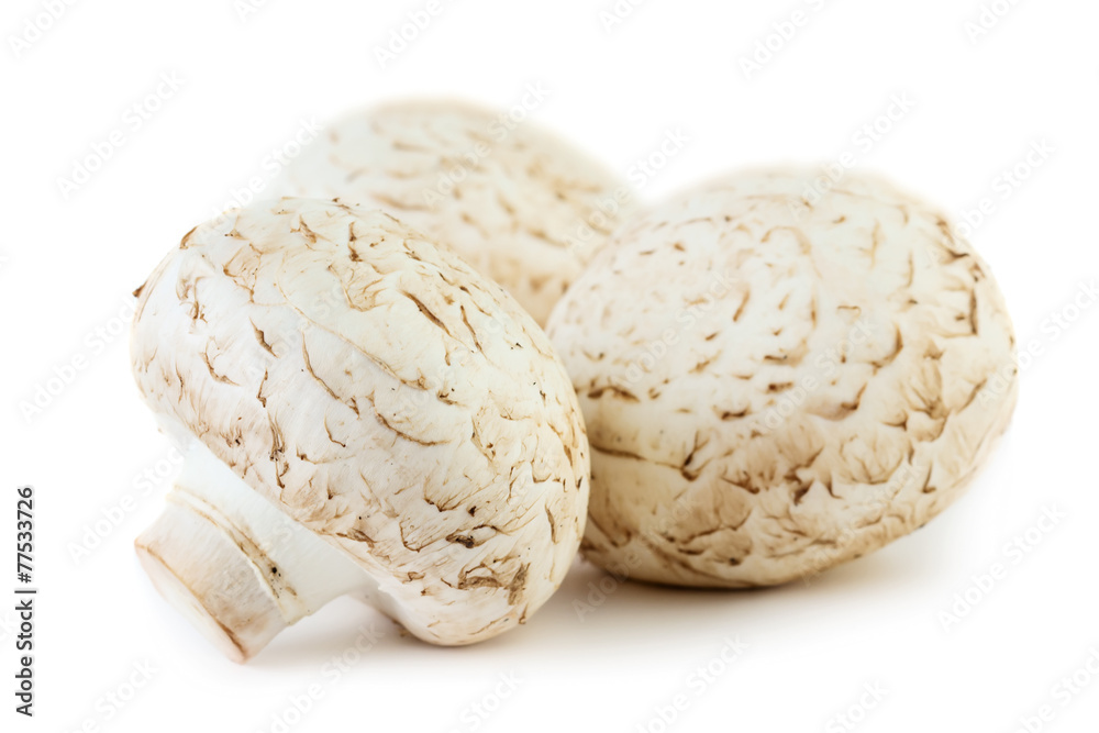 Fresh mushrooms Fresh mushrooms