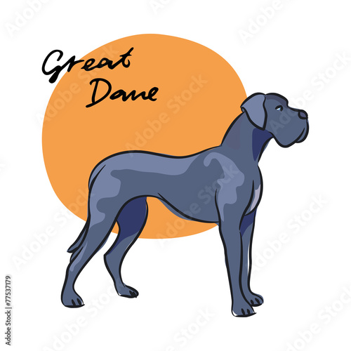Great Dane, vector illustration