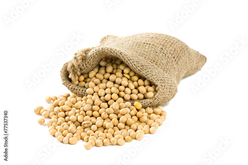 soya beans in a bag isolated on white