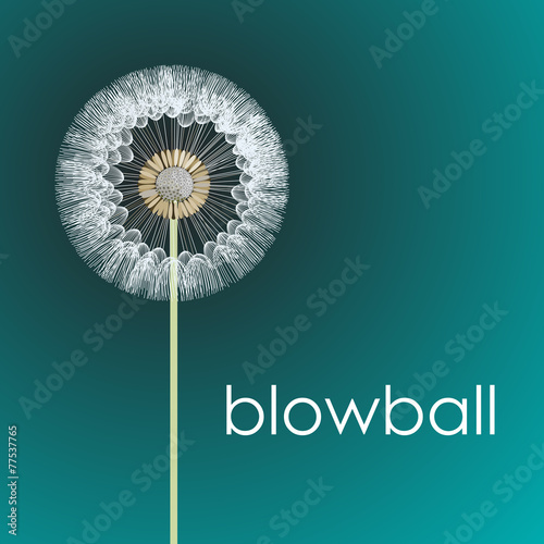 blowball