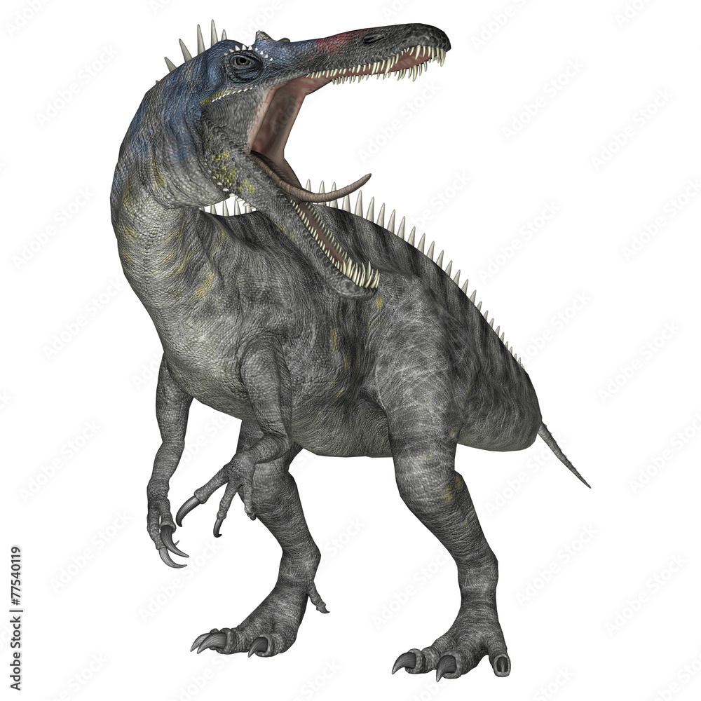 Naklejka premium Dinosaur Suchomimus