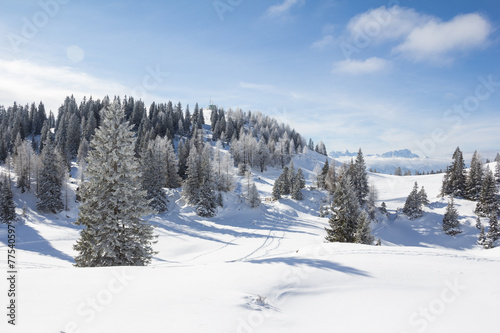 Winter Landscape At Mt. Dobratsch