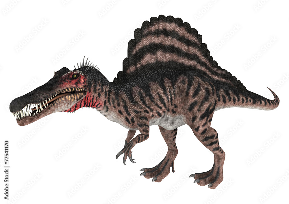 Fototapeta premium Dinosaur Spinosaurus