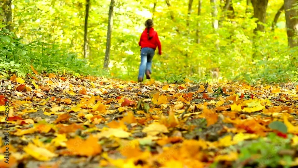 child running through the autumn park child running through the autumn park