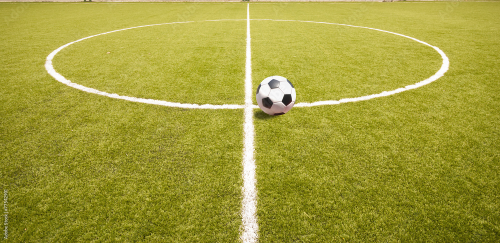 Fototapeta premium The football field