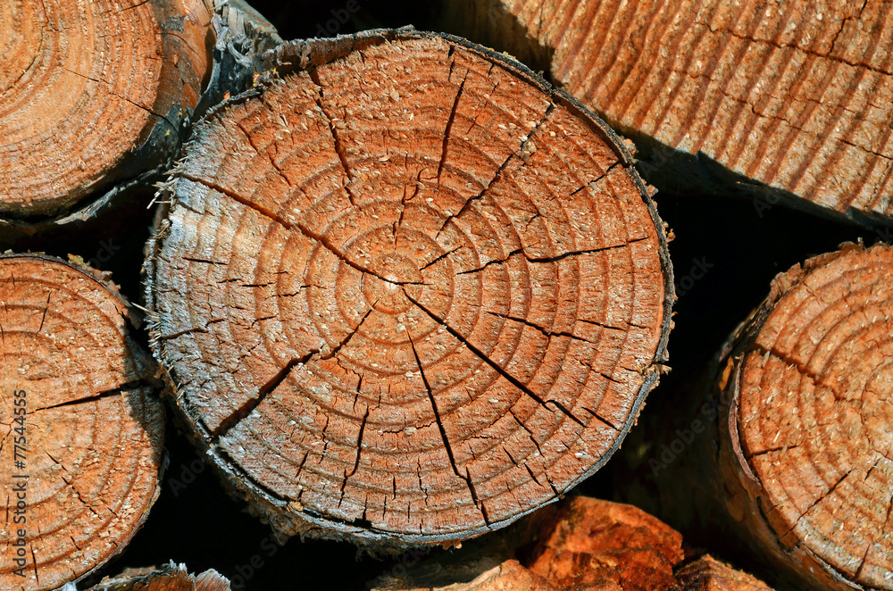 Naklejka premium energie, holz