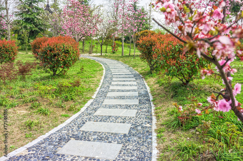 The walkway in a garden