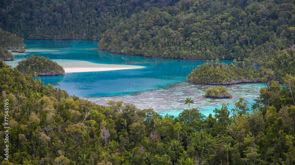 Fototapeta premium Secret Beach in the jungle