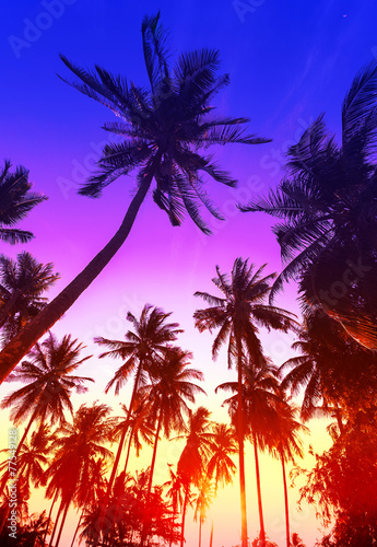 Palm trees silhouettes on tropical beach at sunset. © MaciejBledowski
