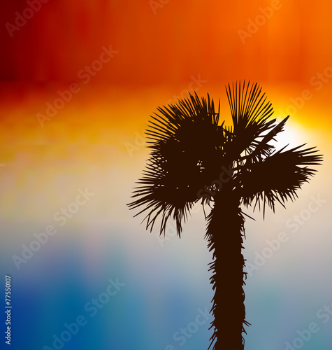 Tropical background with palm tree at sunset