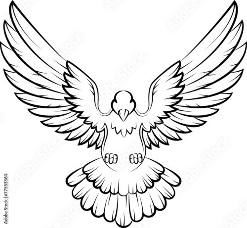 Dove birds logo for peace concept and wedding design