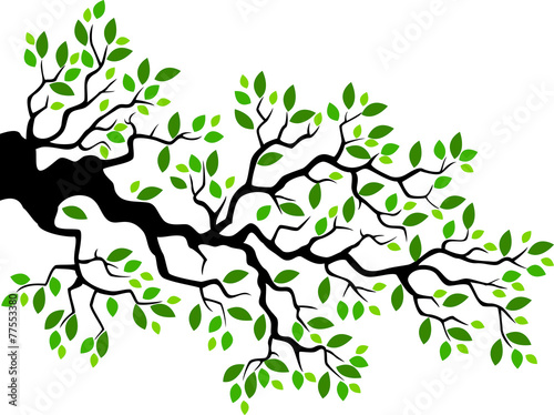 Green leaf tree branch illustration