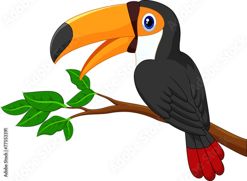 Cartoon toucan bird on a tree branch