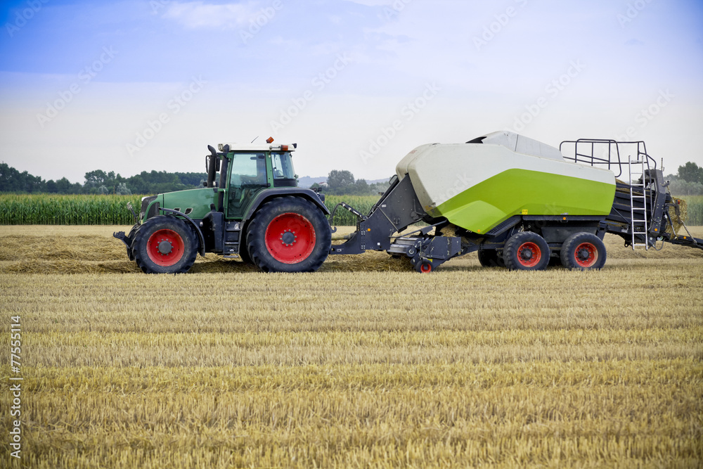 Fototapeta premium Tractor harvests wheat on a field