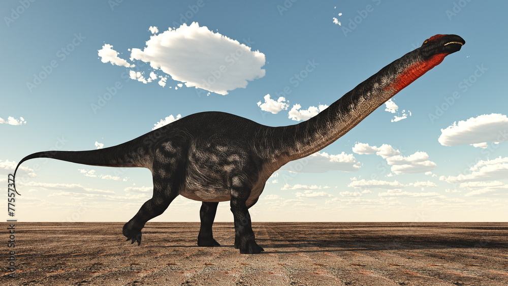 Fototapeta premium Apatosaurus dinosaur - 3D render