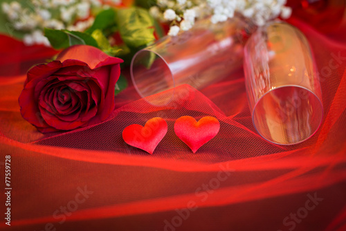 Red rose and calices posed on tulle netting photo