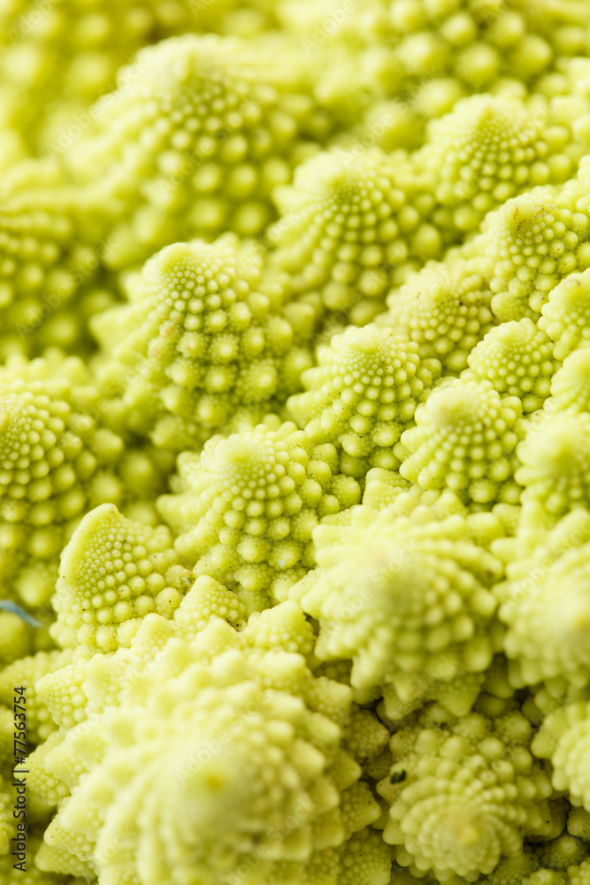 romanesko broccoli romanesko broccoli