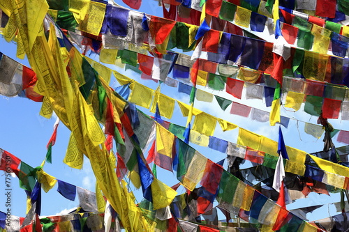 Buddhist prayer flags. Thrangu Tashi Y.monastery-Nepal. 0992 photo