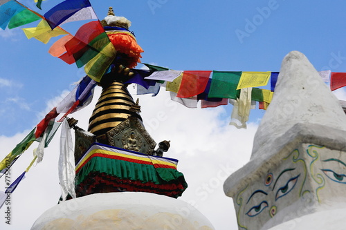 Prayer flags-Thrangu Tashi Yangtse m. Namo Buddha-Nepal. 1010 photo