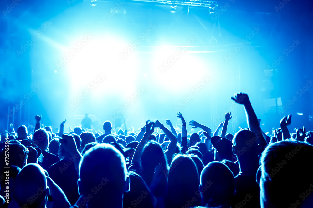 cheering crowd at concert cheering crowd at concert