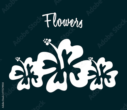 hawaii flower