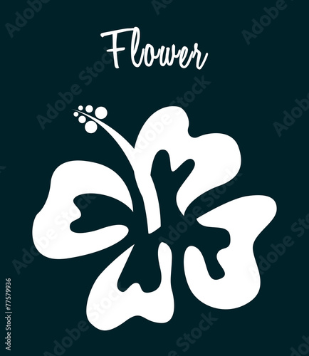 hawaii flower