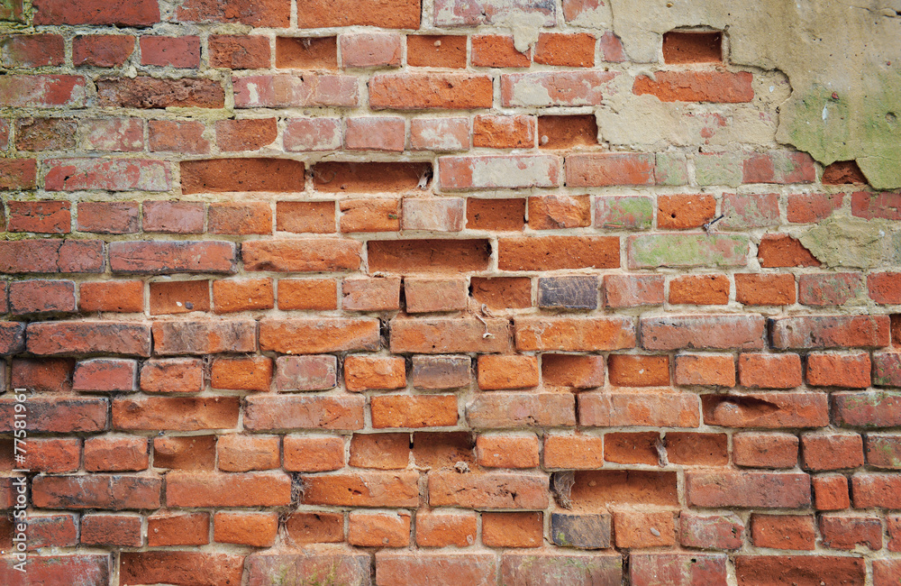 Obraz premium old brick background