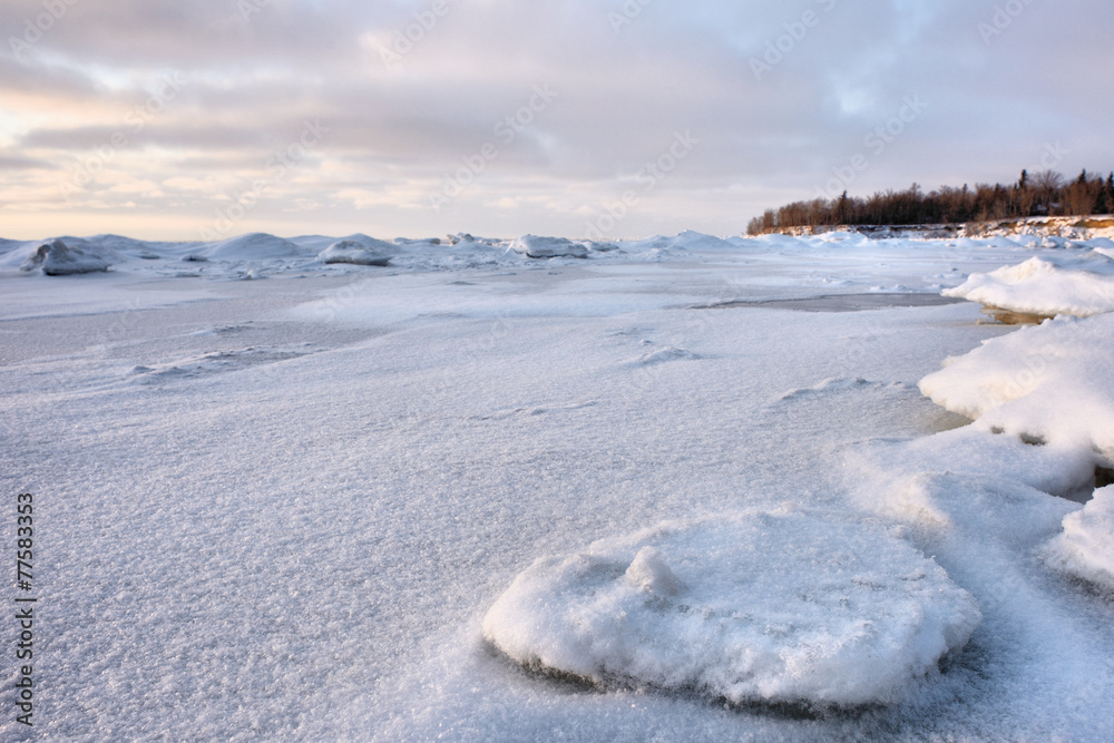 Frozen Landscape Frozen Landscape
