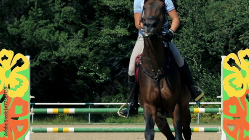 Woman jockey learning and riding horse in the nature and preparing for comeptition photo